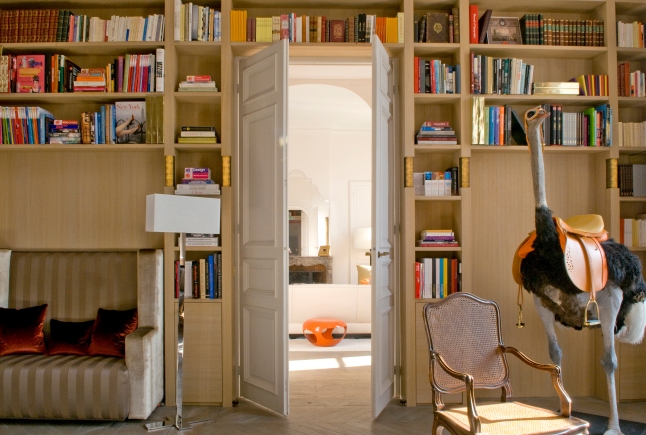 La bibliothèque et son autruche. Photo Laurence Picot
